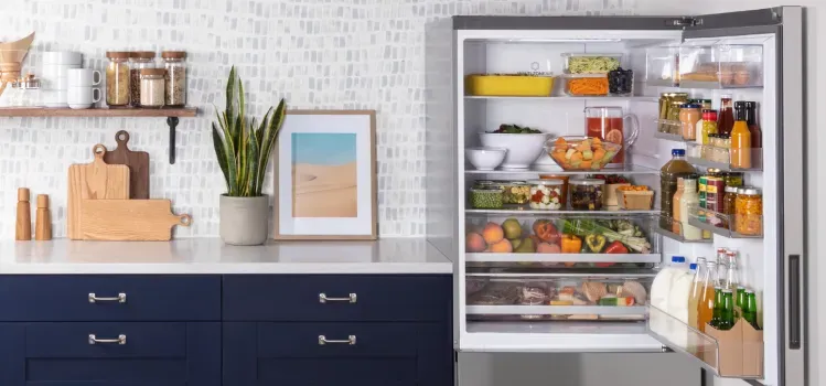 ge-bottom-freezer-refrigerator
